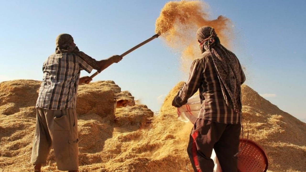 Tarımsal girdi fiyat endeksi yıllık yüzde 32,59 arttı