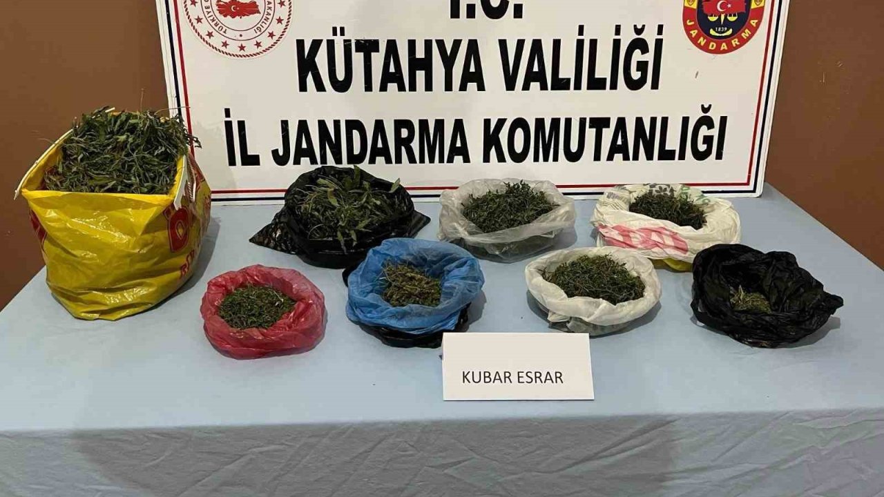 Kütahya’da jandarmadan uyuşturucu operasyonu