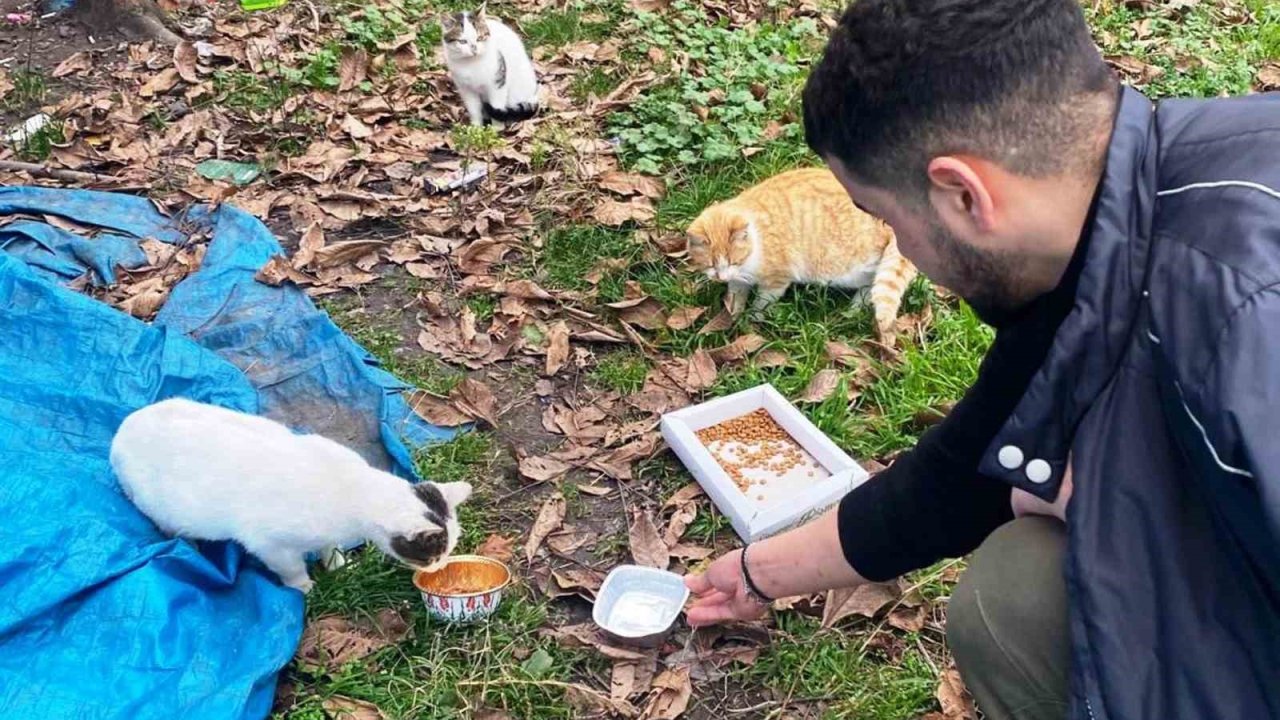 Öğrencilerden sokak hayvanlarına şefkat