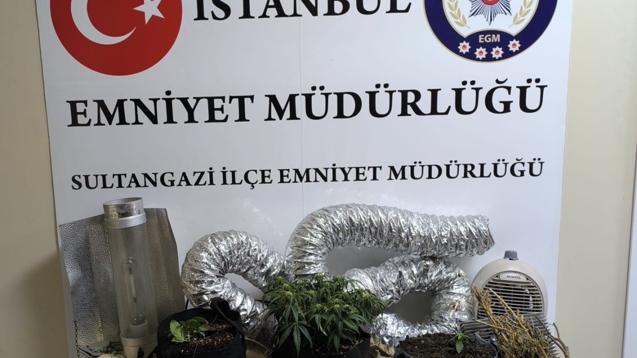 Sultangazi’de uyuşturucu operasyonu: 1 gözaltı