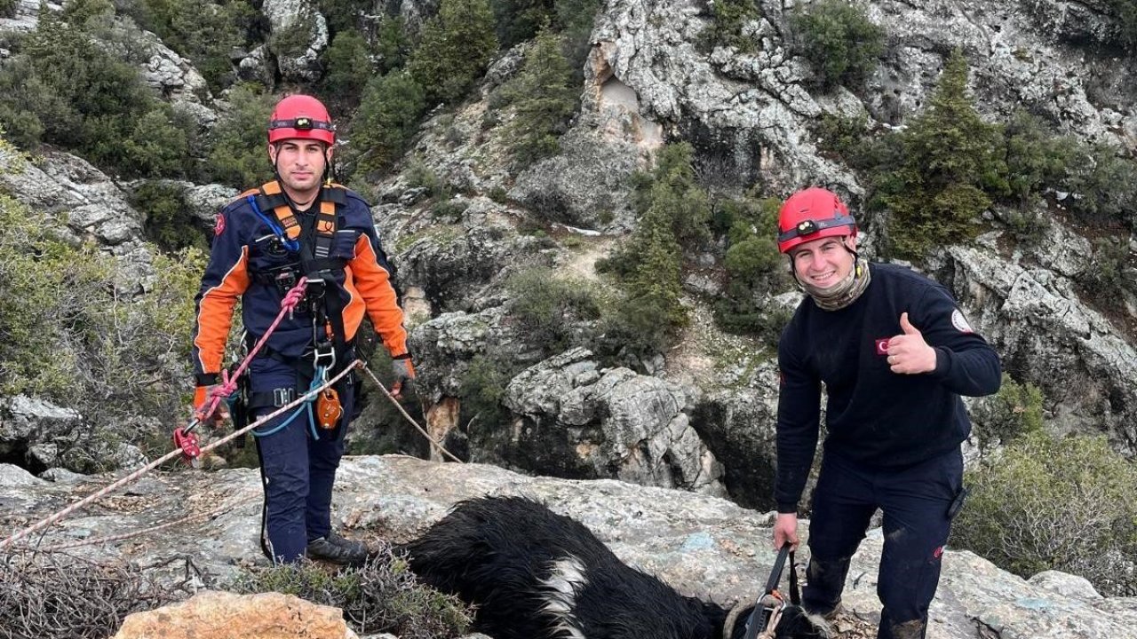 Uçurumda mahsur kalan keçi, itfaiye ekiplerince kurtarıldı