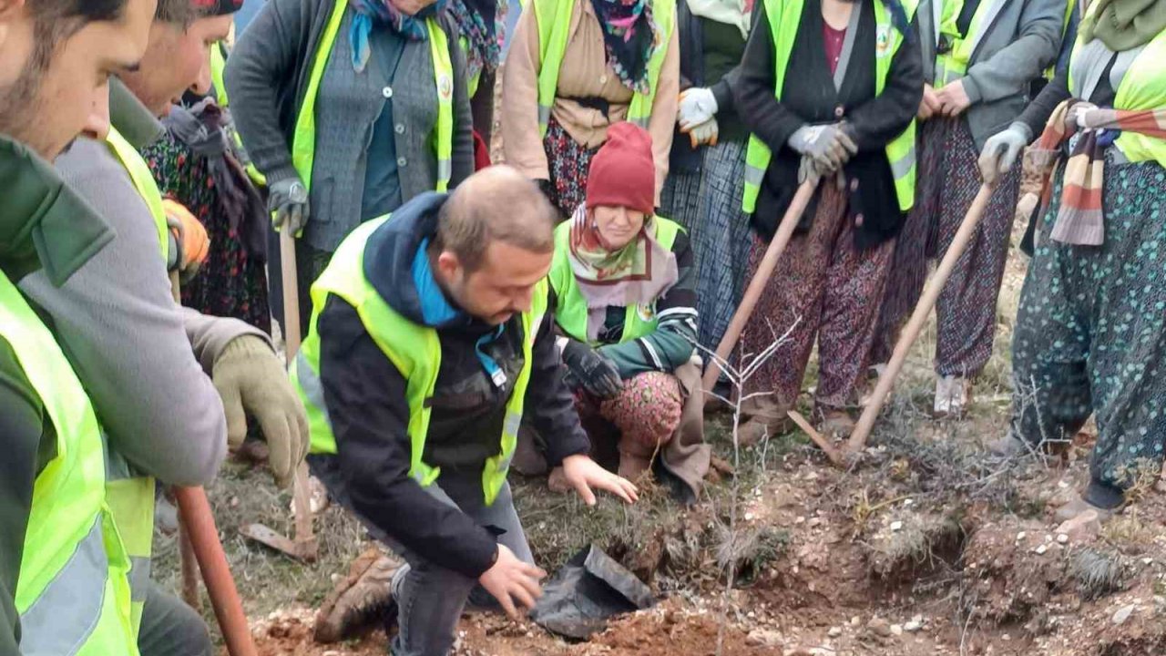 Hisarcık’ta 43 bin 300 fidan toprakla buluştu