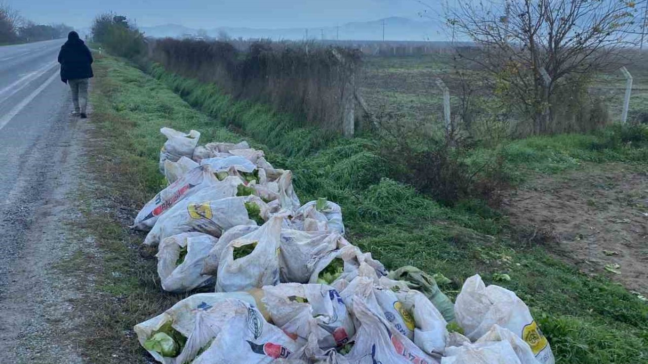 İzmir’de çuval çuval marul çalan 3 şüpheli tutuklandı