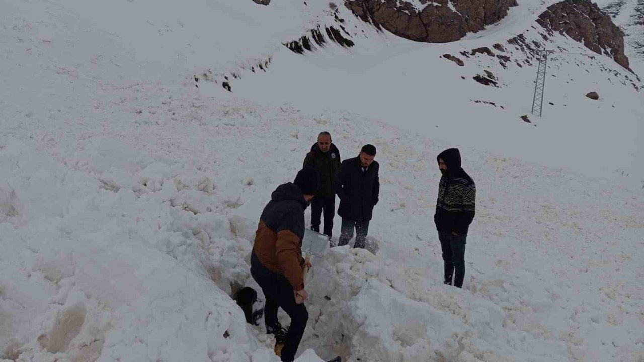 Şırnak’ta çığ düştü, kepçe operatörü ölümden döndü