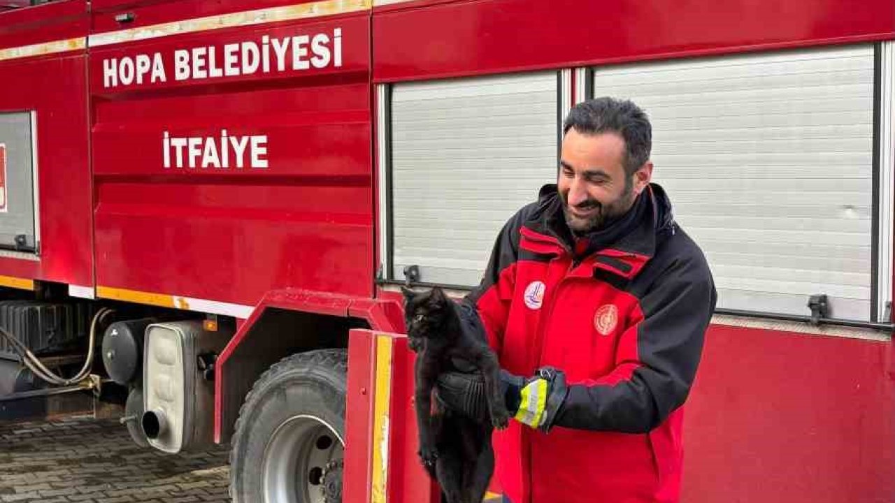 Ağaçta mahsur kalan kediyi itfaiye ekipleri kurtardı