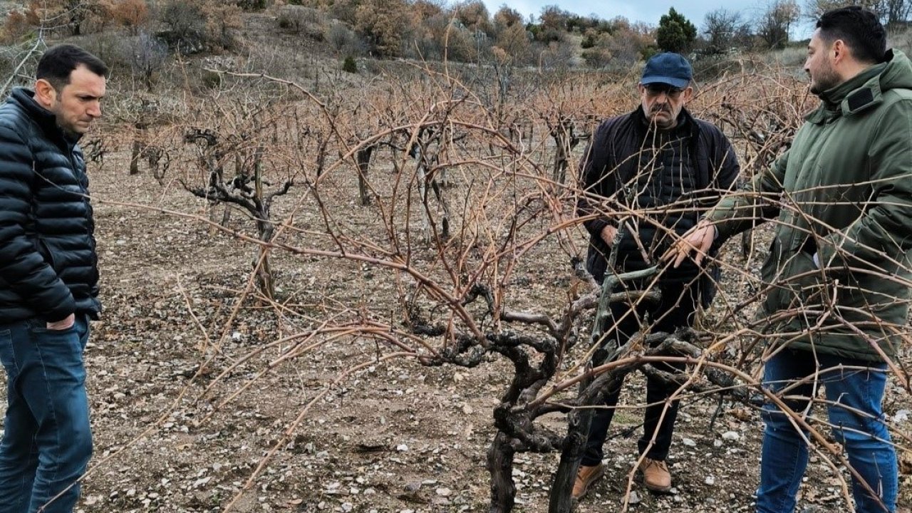 Emet’te pekmez evi ve üzüm bağlarında inceleme