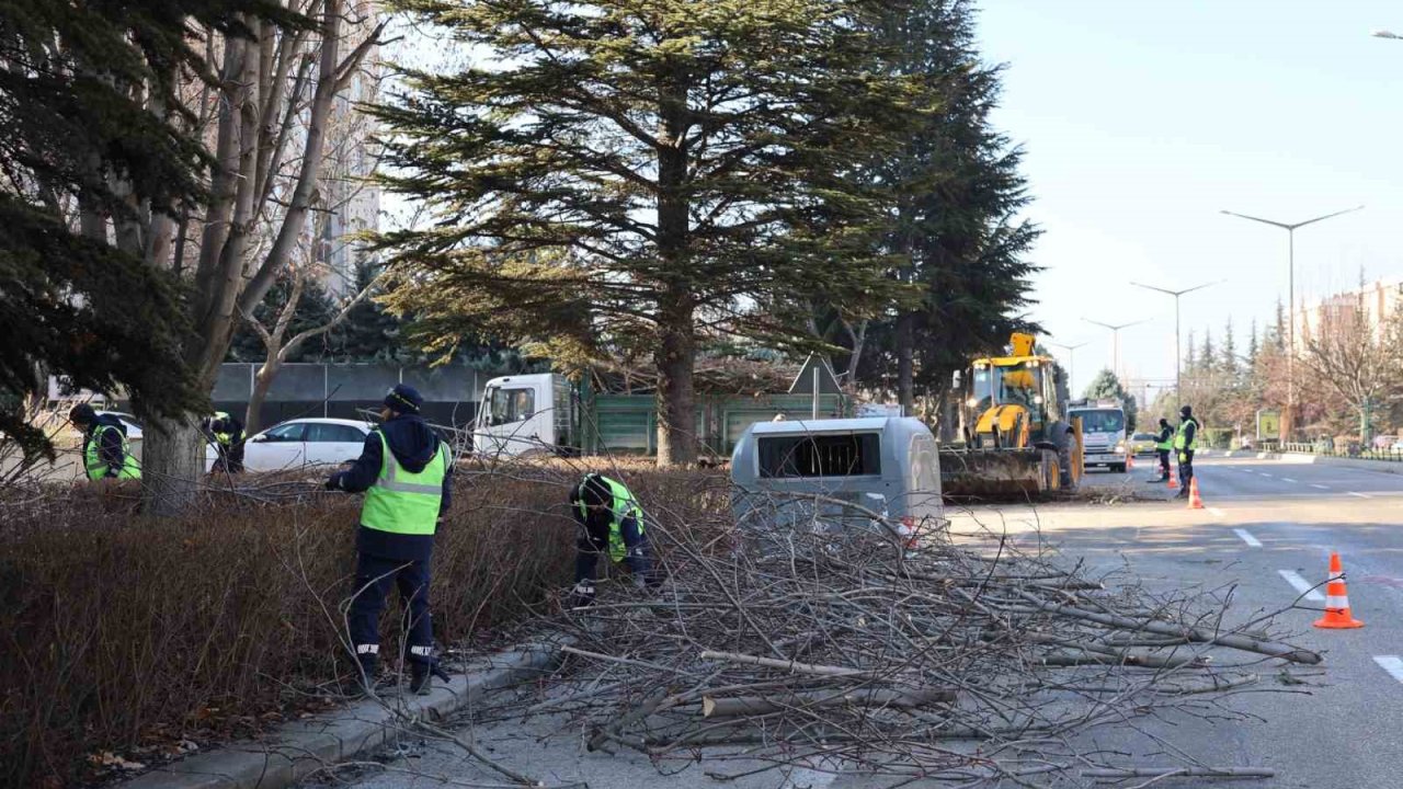 Büyükşehir ekipleri budama çalışmalarına devam ediyor