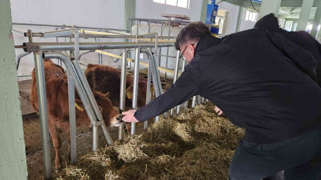 Tarım ve Orman İl Müdürlüğü’nden Tepebaşı’ndaki işletmeye Ari İşletme sertifikası