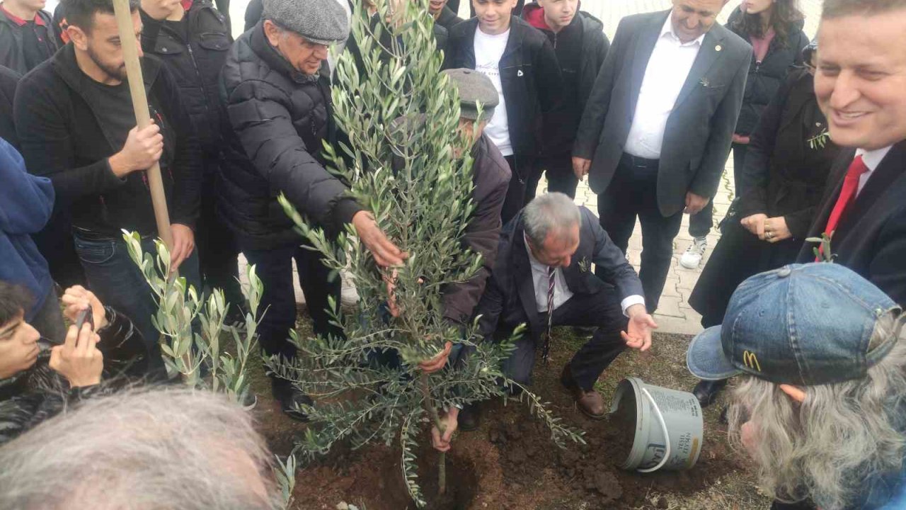 Meslek lisesinin 63. yaşında 63 adet zeytin ağacı sonsuzluğa kök saldı