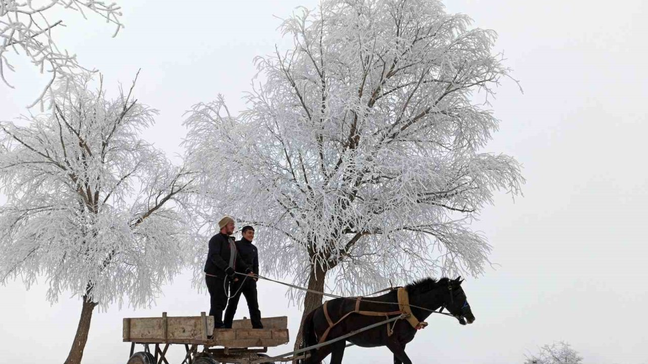 Erzincan’ın Otlukbeli ilçesi buz tuttu!