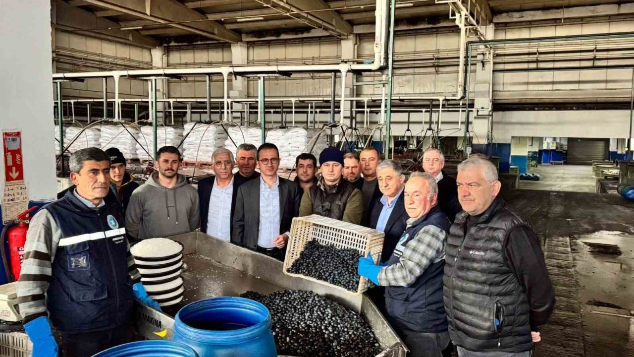 Kaymakam Karaman İznik Zeytin Kooperatifi’ni ziyaret etti