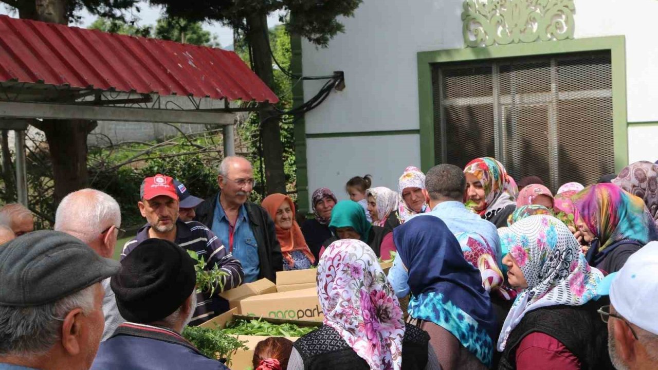 Atakum’da çiftçiye 30 bin sebze fidesi ve tohum desteği