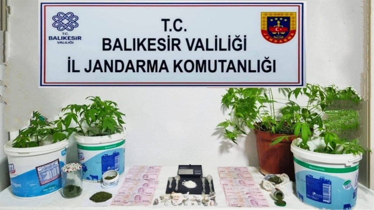 Jandarma’dan 6 ilçede uyuşturucu operasyonu