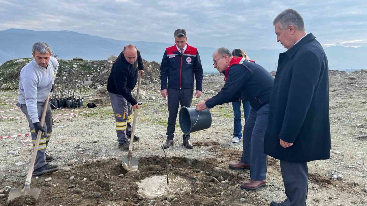 Buharkent’te ’Kaliteli İncir, Kaliteli İlek’ projesi kapsamında fidan dikimi gerçekleştirildi