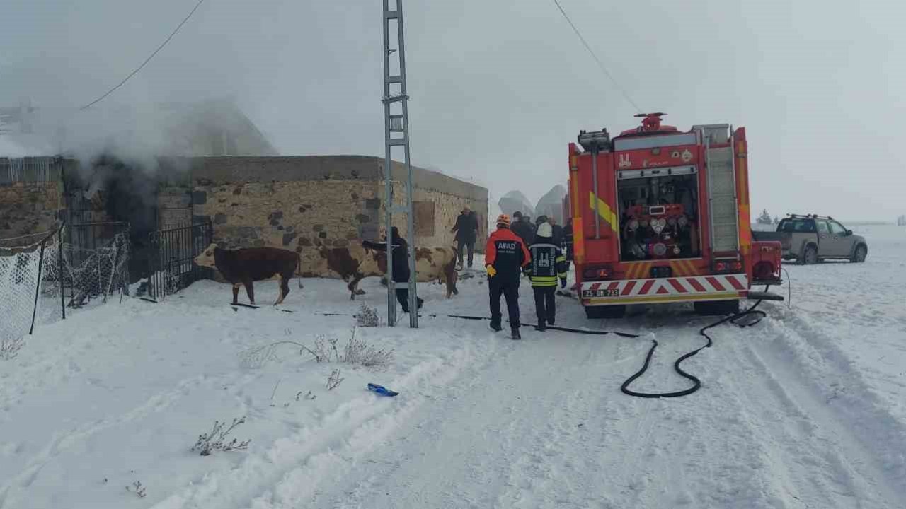 Erzurum’da ahır yangını