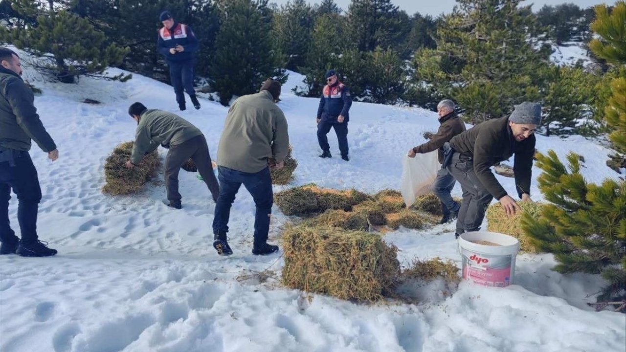 Kazdağları’nda yoğun kar yağışı nedeniyle yaban hayvanlarına yem bırakıldı