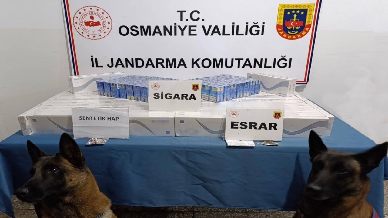 Osmaniye’de jandarma son bir haftada 107 kişi yakalandı