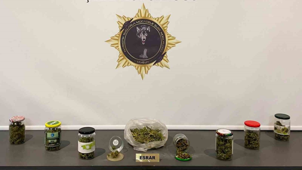 Samsun’da evinde esrar ele geçen şahıs gözaltına alındı