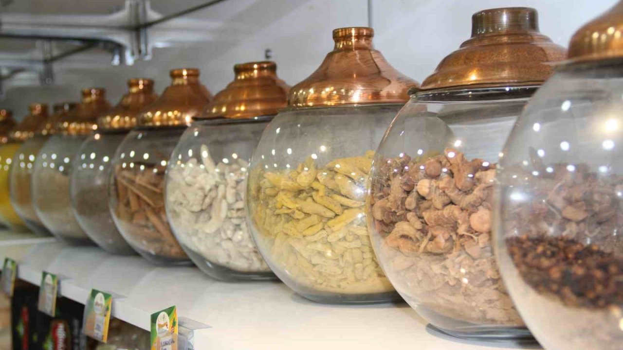 Bağışıklığa doğal kalkan ‘kış çayı’