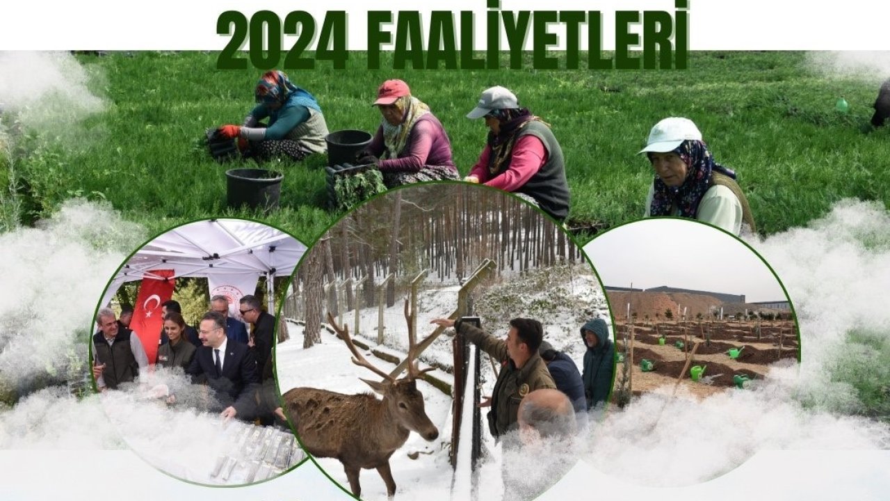 Orman Bölge Müdürlüğü orman yangınlarıyla mücadele çalışmalarını sürdürüyor