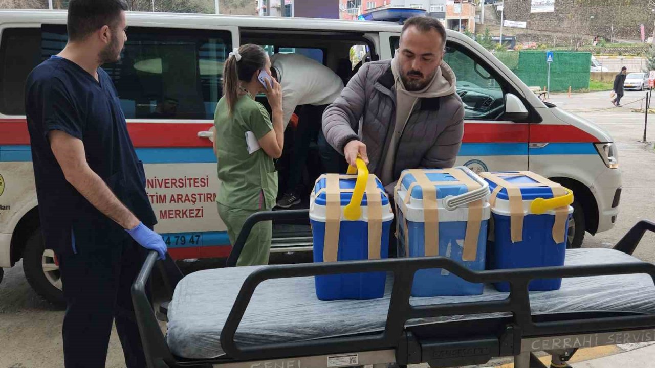 Giresun’da beyin ölümü gerçekleşen tiyatro sanatçısının organları 4 kişiye umut oldu