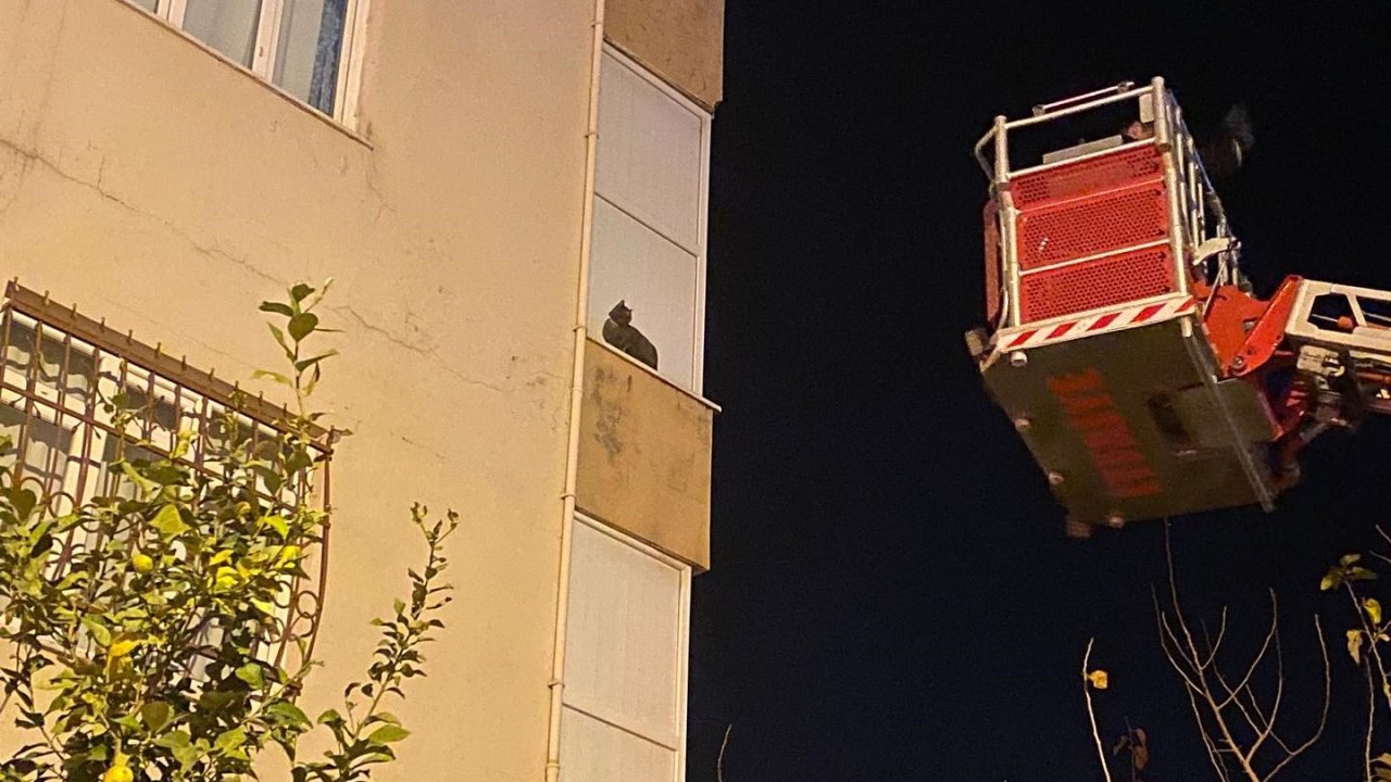 İskenderun’da balkonda mahsur kalan kediyi itfaiye kurtardı