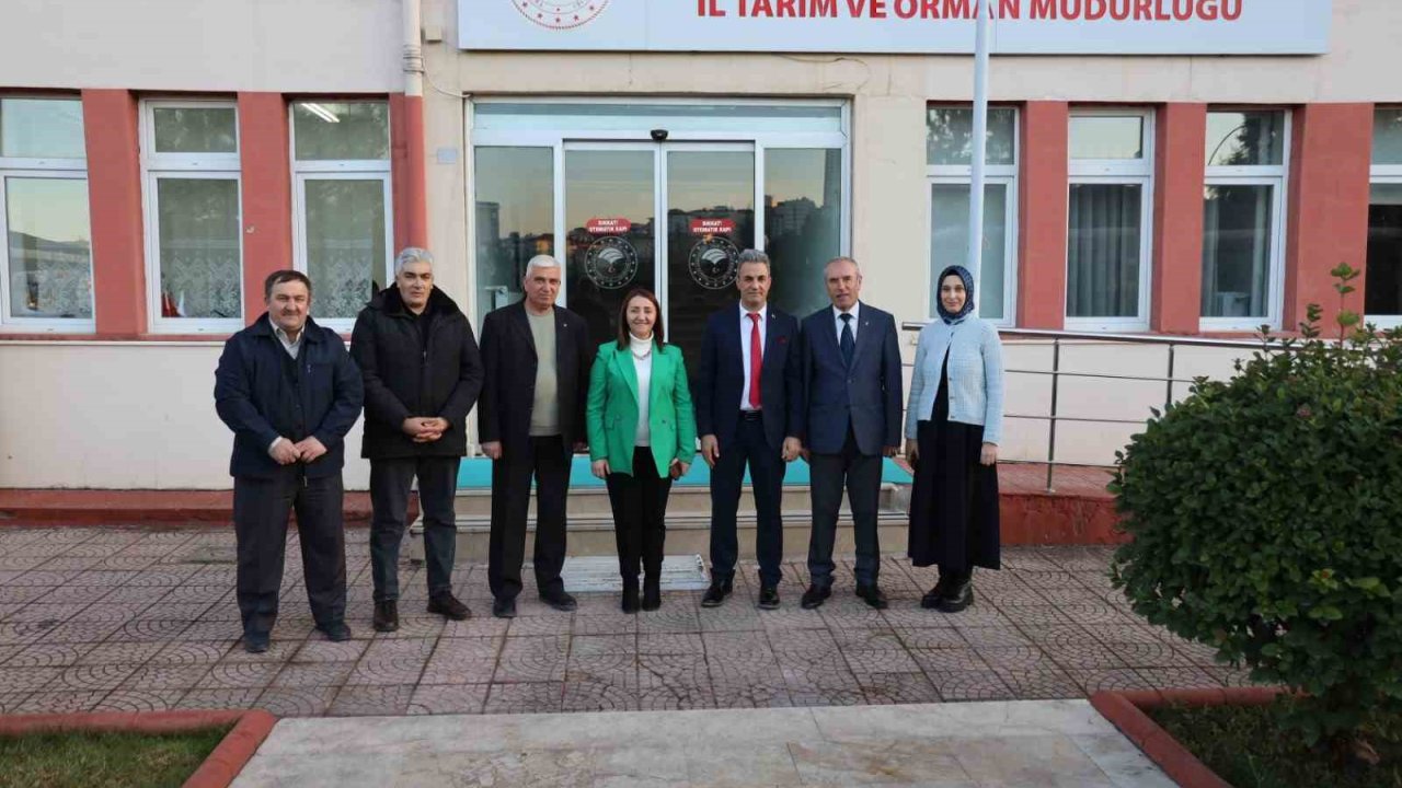 Pazaryerinde yapılacak olan tarımsal faaliyetler görüşüldü