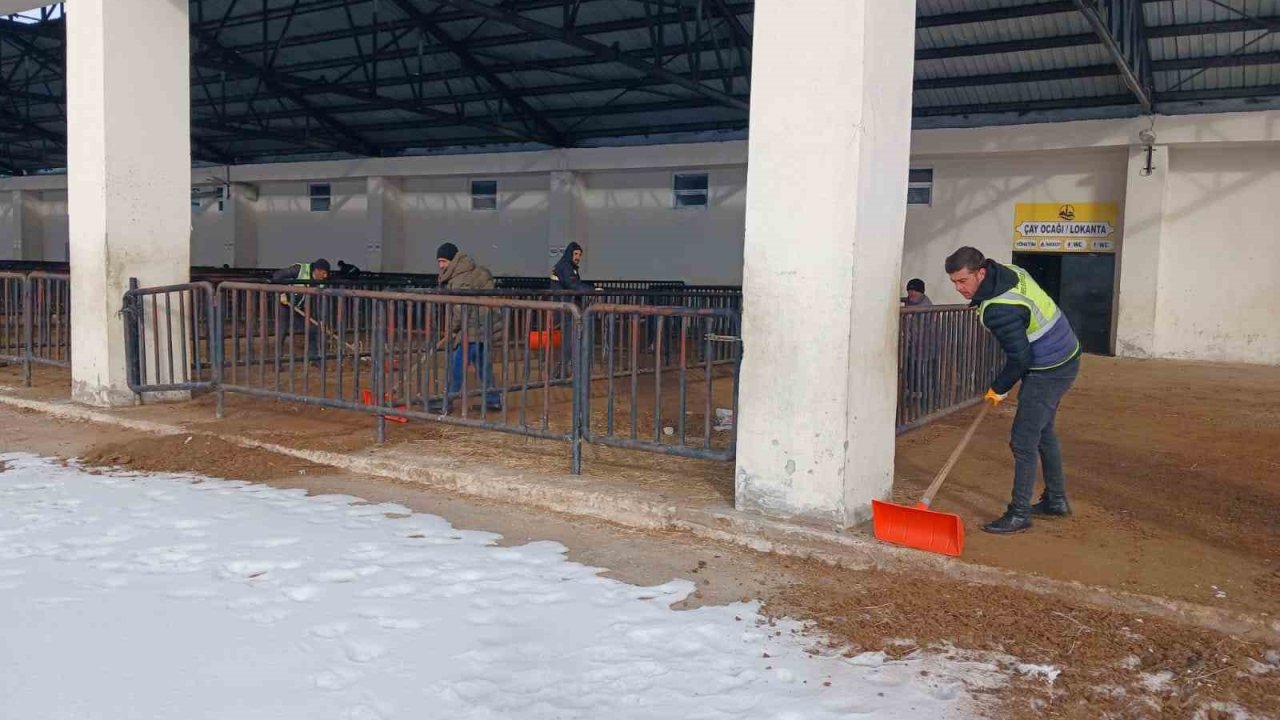 Bayburt’ta canlı hayvan pazarı yarın açılacak