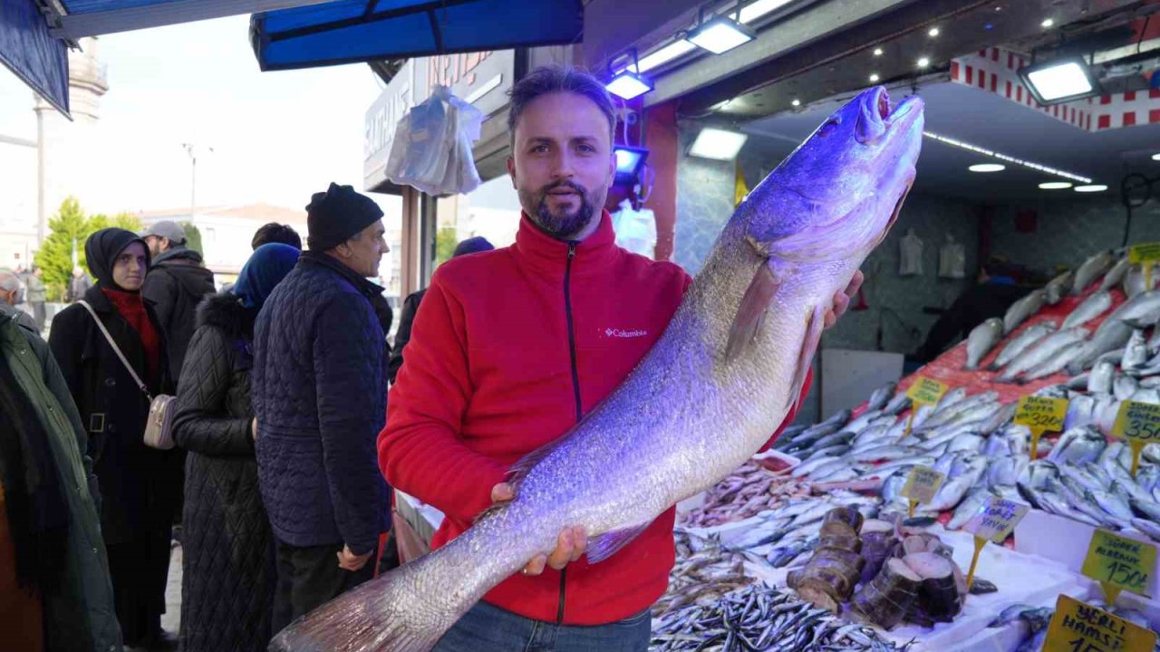 Karadeniz’de 120 santimlik dev minekop avlandı, 6 bin TL’ye satıldı