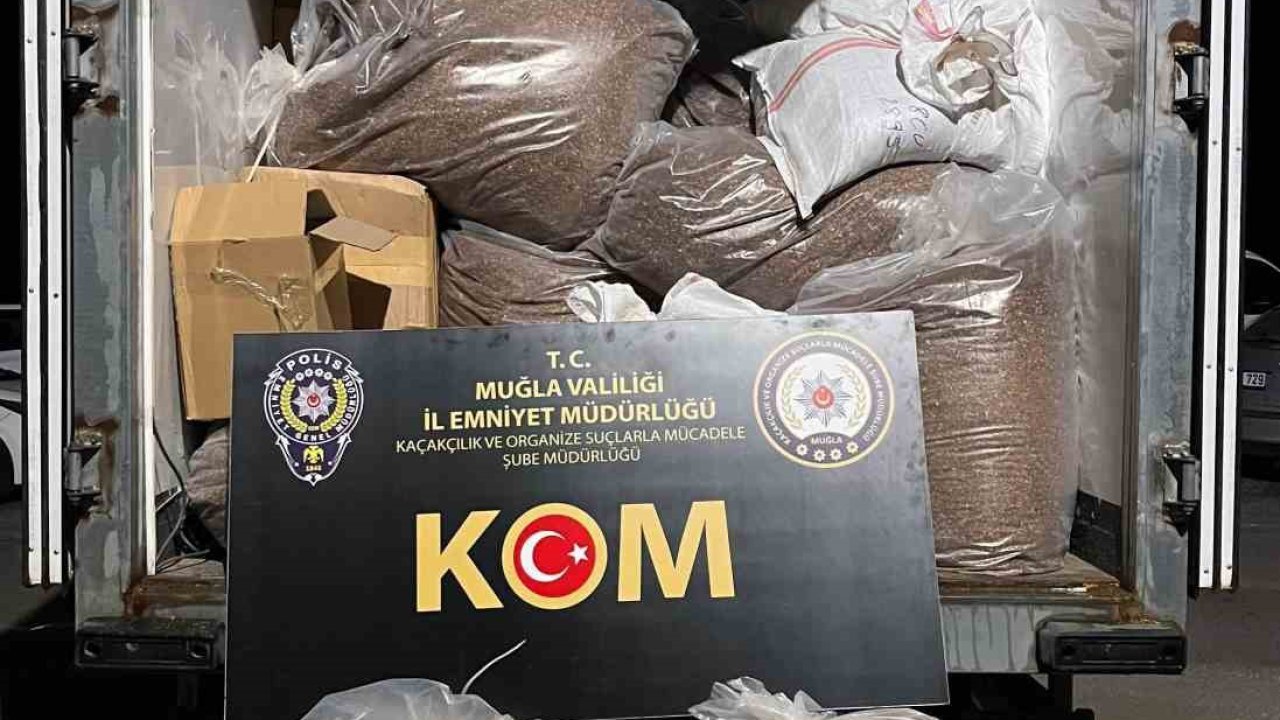 Muğla’da 2 milyon 338 bin adet makaron ele geçirildi