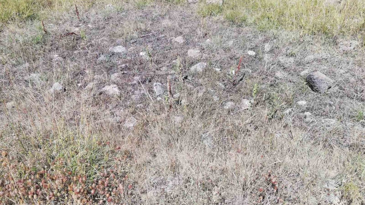 Cevizdere Şehitleri Gazileri Derneği kapatılma tehlikesiyle karşı karşıya