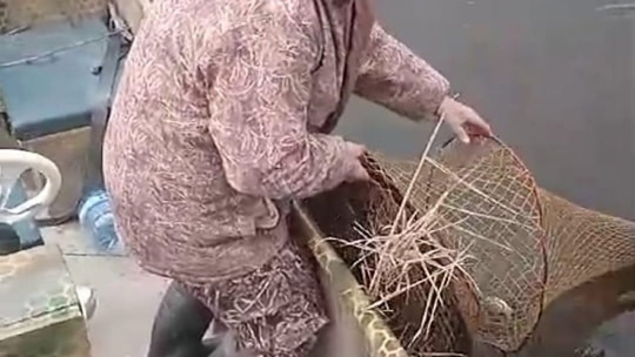 Kaçak balık avcılığıyla mücadele sürüyor