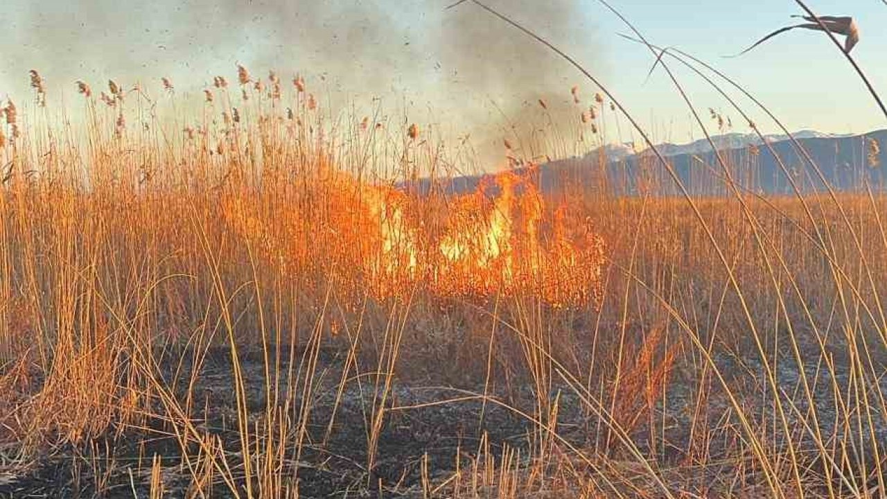 Eber Gölü’nü yakmaya çalışırken jandarmaya yakalandı