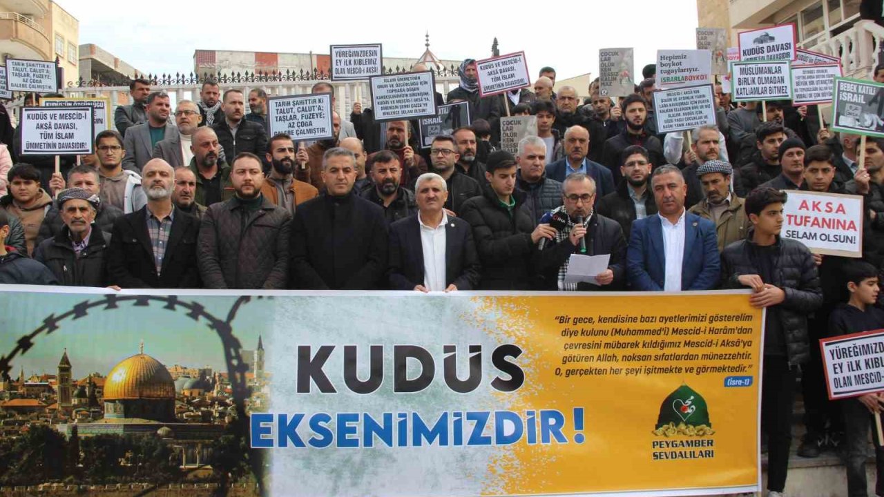 Cizre’de STK’lardan Dünya Kudüs Haftası’nda basın açıklaması