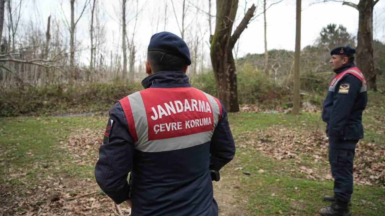 Kaçak ayı 9 gün sonra yakalandı