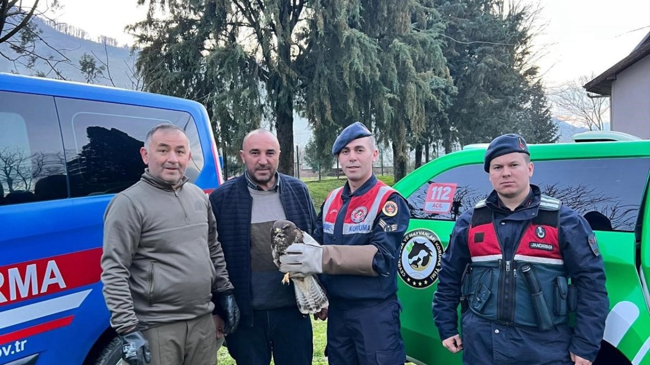 Yaralı Şahin’e HAYDİ şefkati