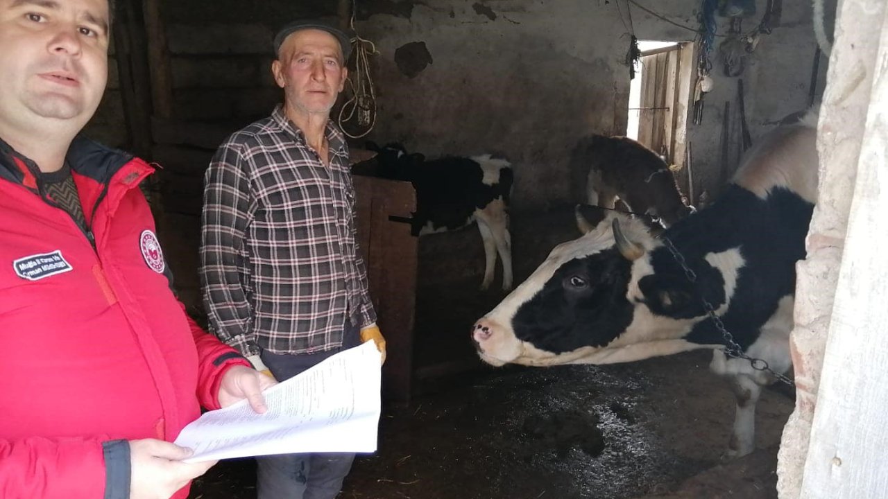 Menteşe’de hayvancılık işletmelerine denetim