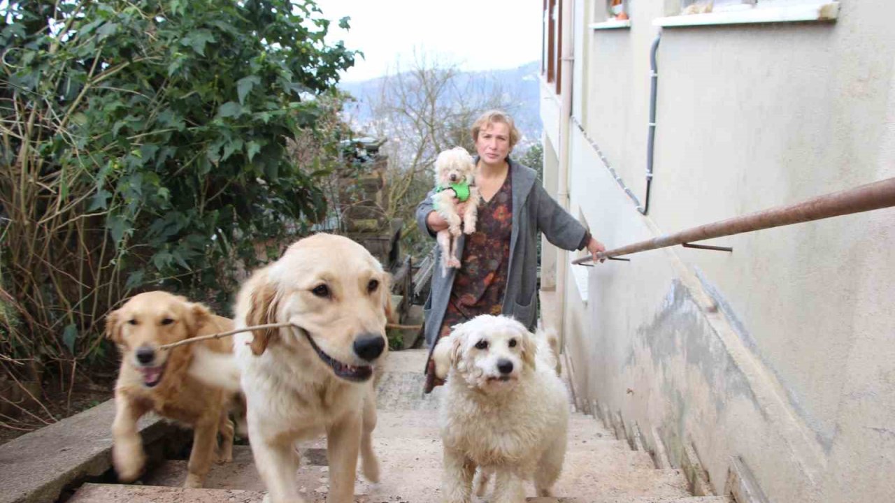 Sevimli dostları ona, o da onlara Nur‘hayat’ oldu