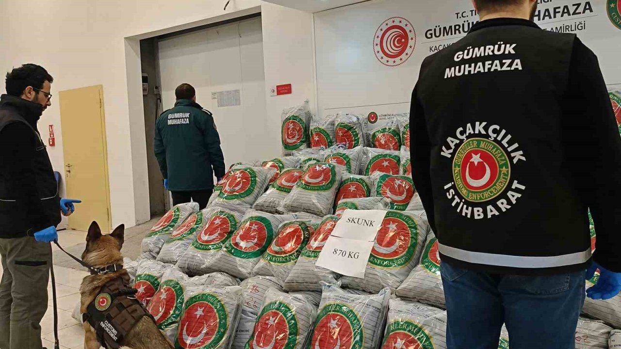 Edirne’de tırda 870 kilo skunk ele geçirildi