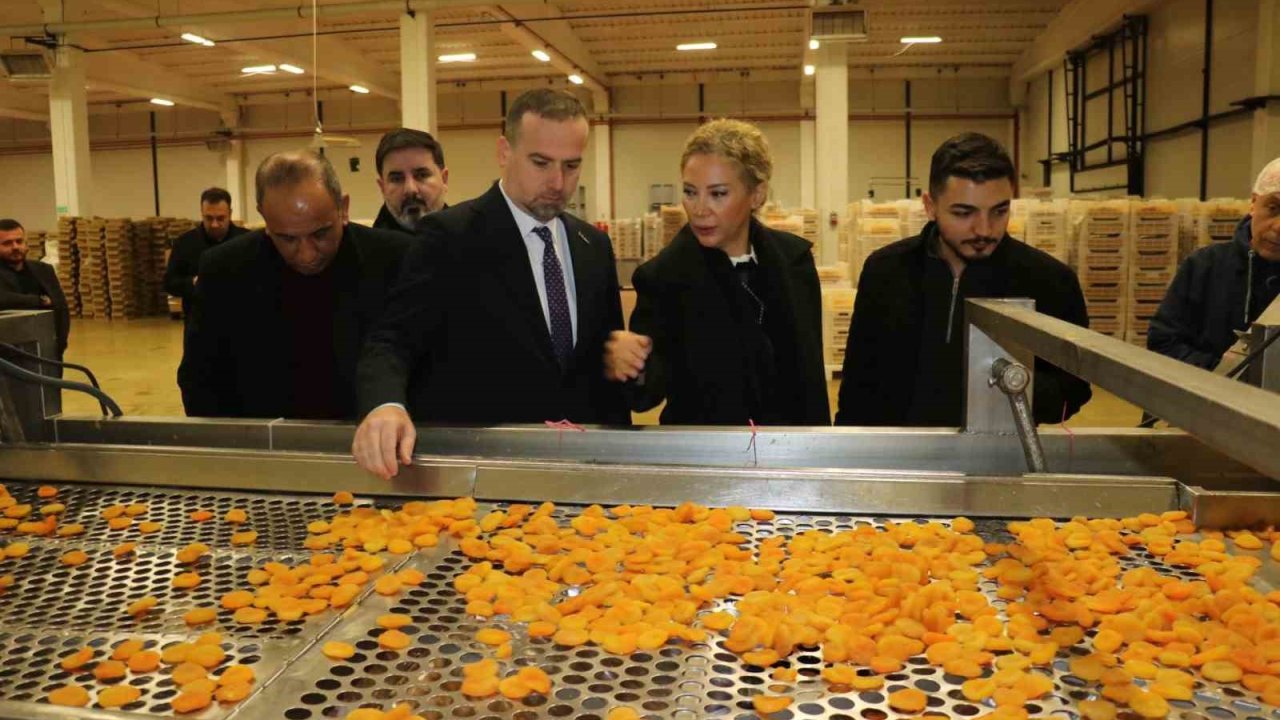 MAGİNDER, Malatya OSB’de incelemelerde bulundu