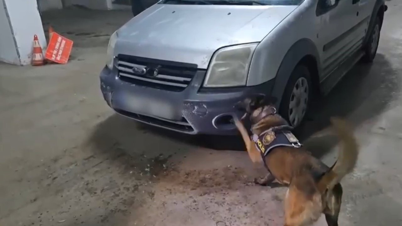 Kars’ta uyuşturucu narkotik köpeği Şila’ya takıldı