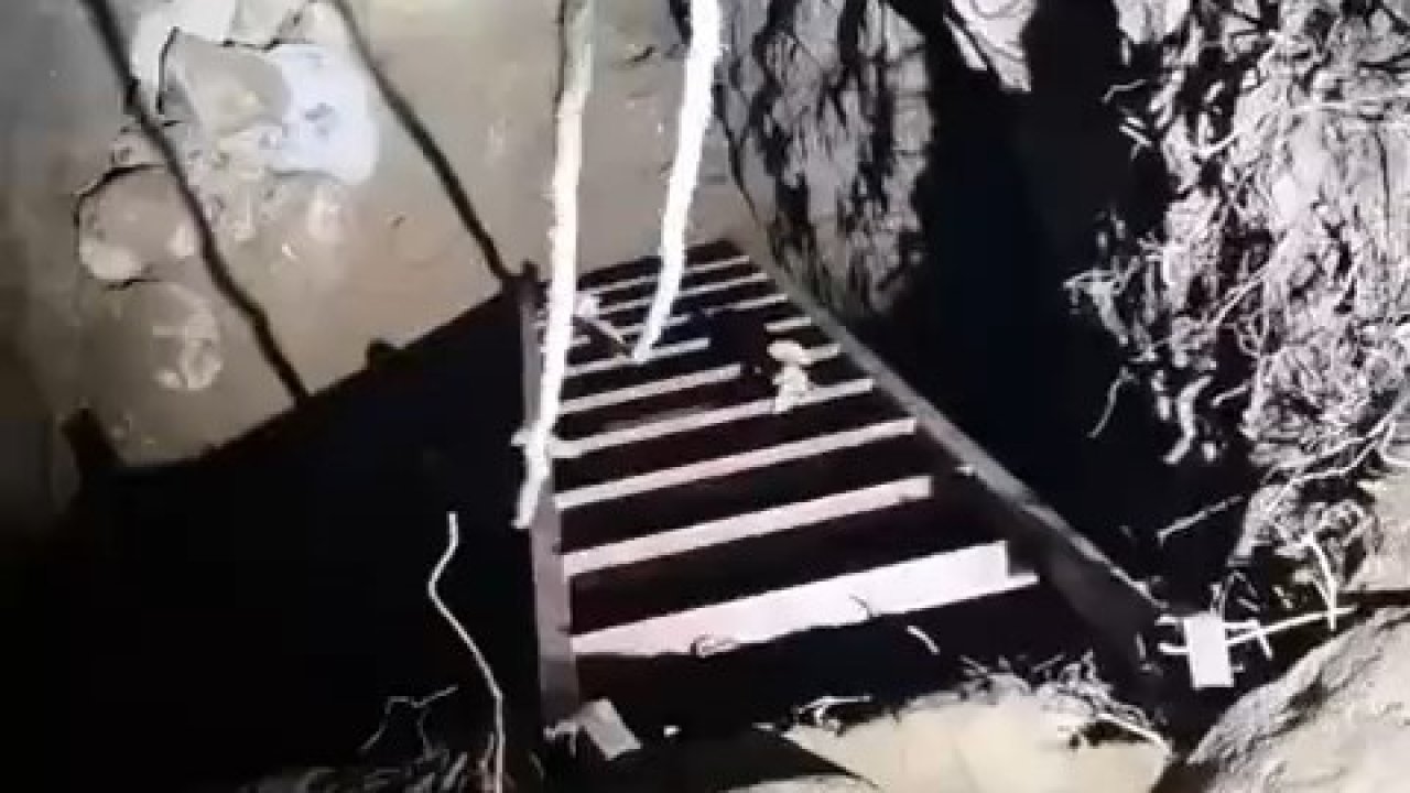 Sit alanında kaçak kazı yaparken yakaladılar