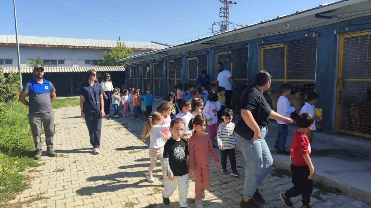 Kreş öğrencileri sokak hayvanlarını ziyaret etti