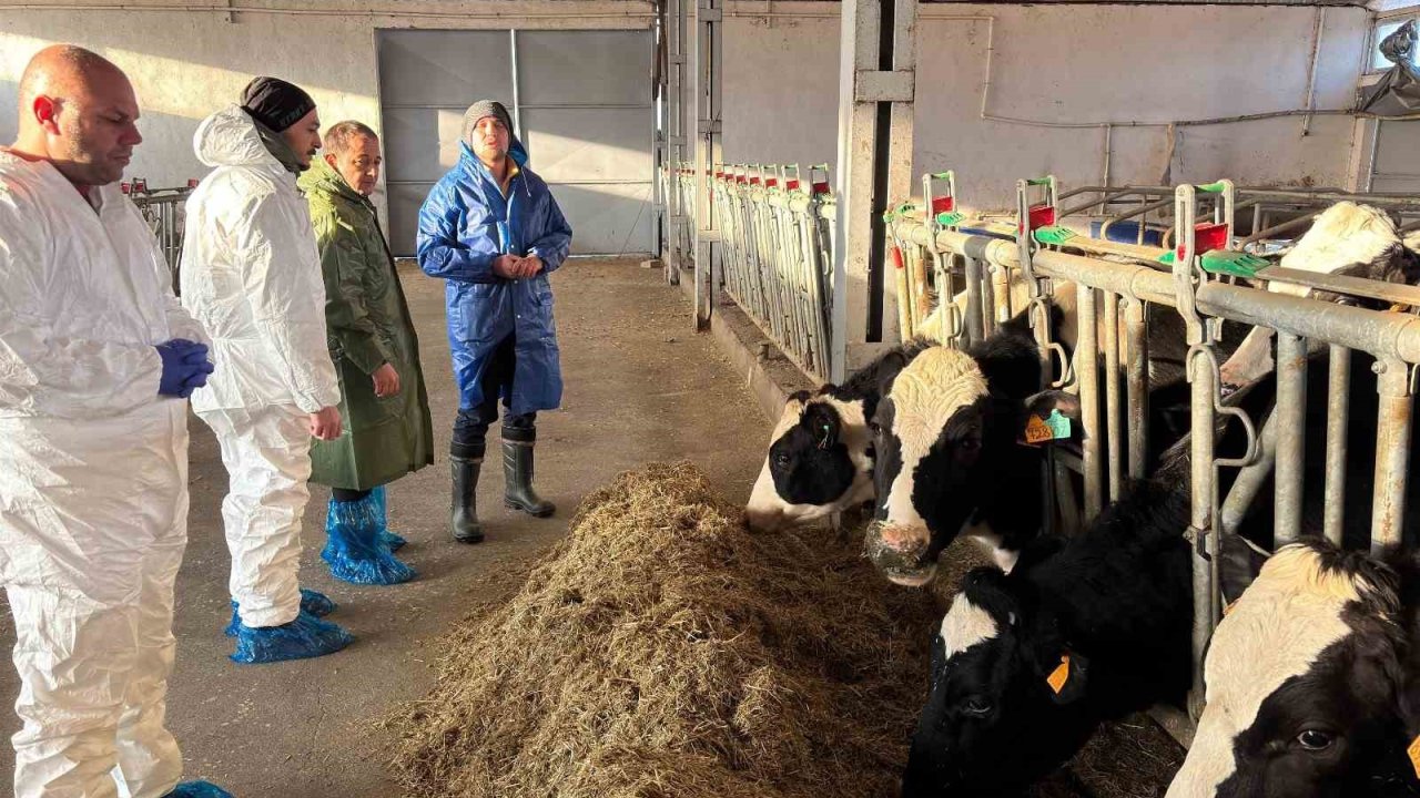 Erzincan’da 3 işletme ari işletme olmak için başvuru yaptı