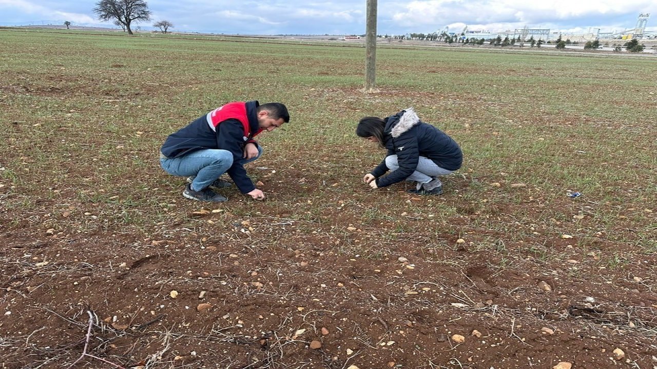 Hububat ekili alanlarda bitki kontrolleri devam ediyor
