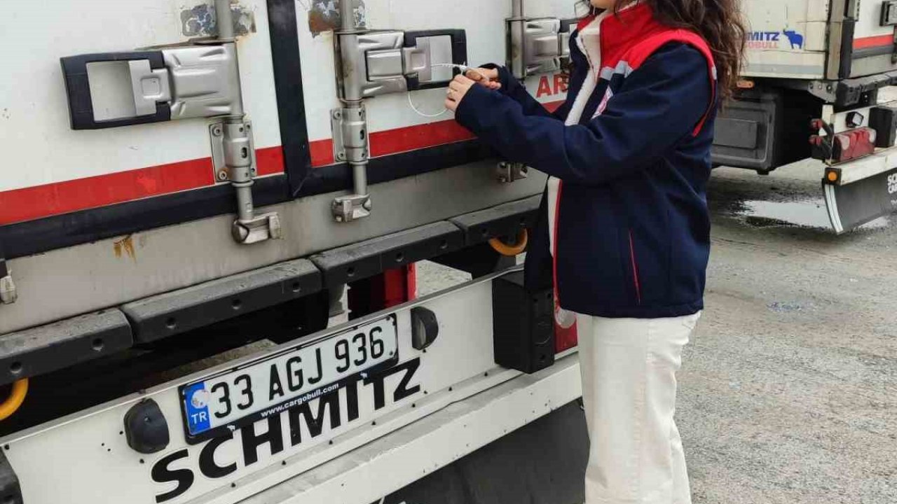 Söke’nin balıkları, Rusya ve İtalya yolcusu