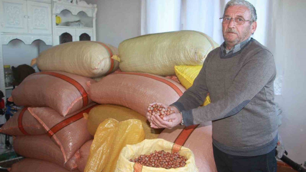 Türkiye fındığının yüzde 15’i üreticinin evinde