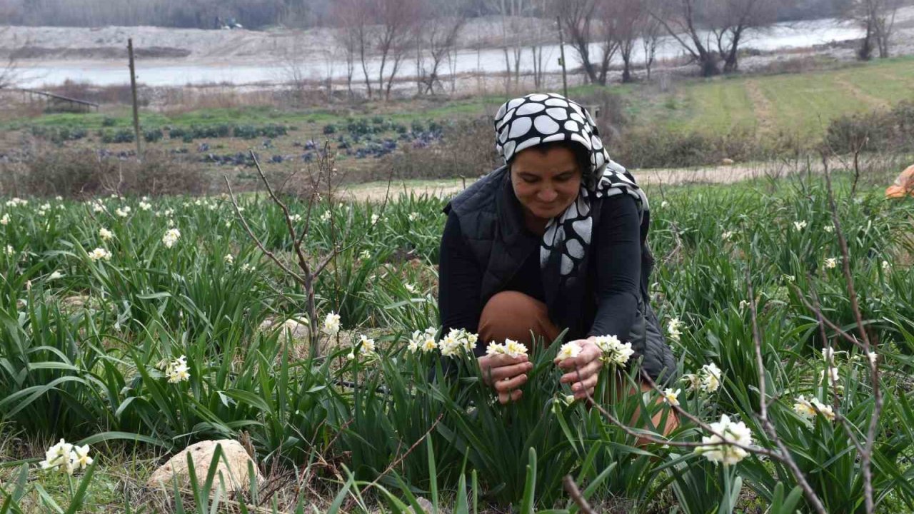 Hobi olarak başladı geçim kaynağı oldu