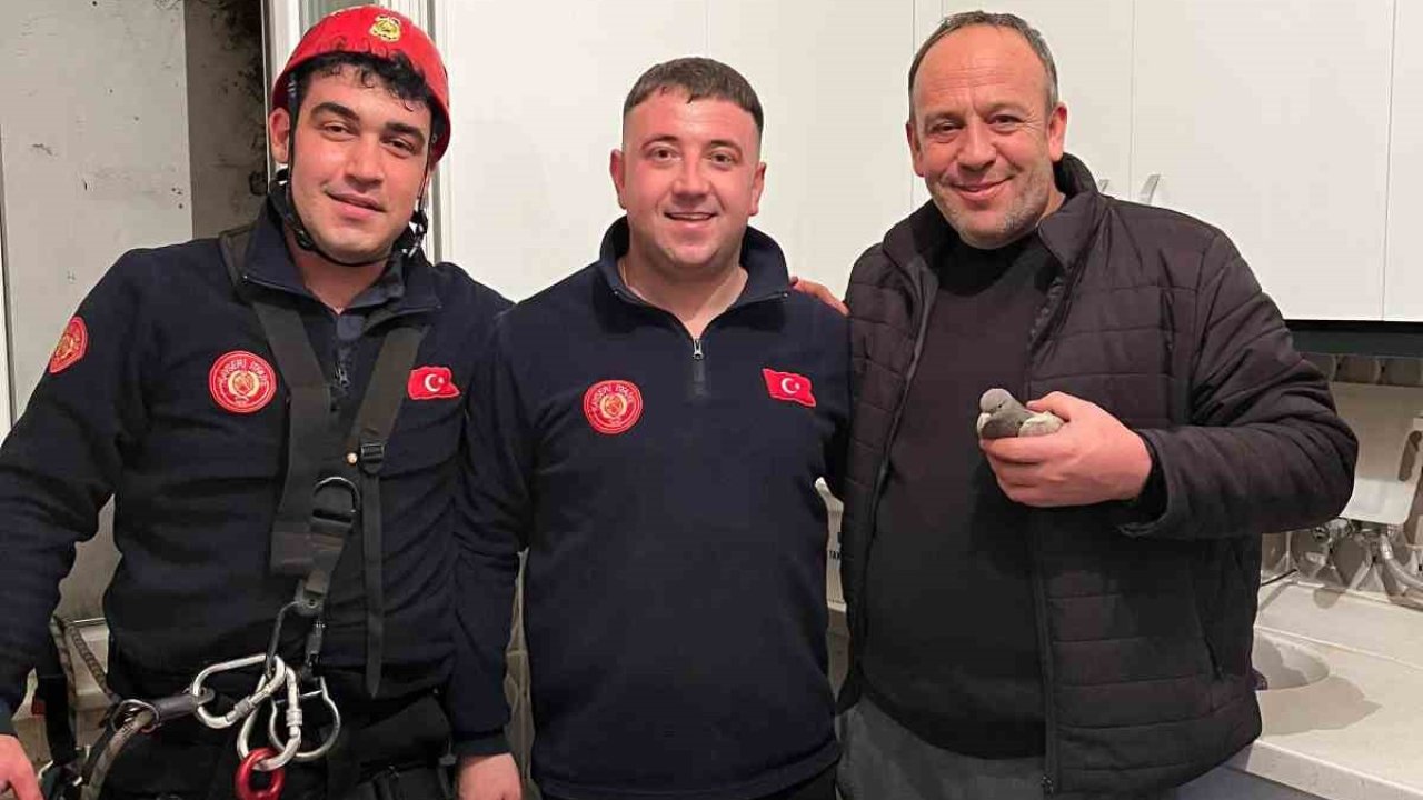 Mahsur kalan güvercini özgürlüğüne itfaiye kavuşturdu