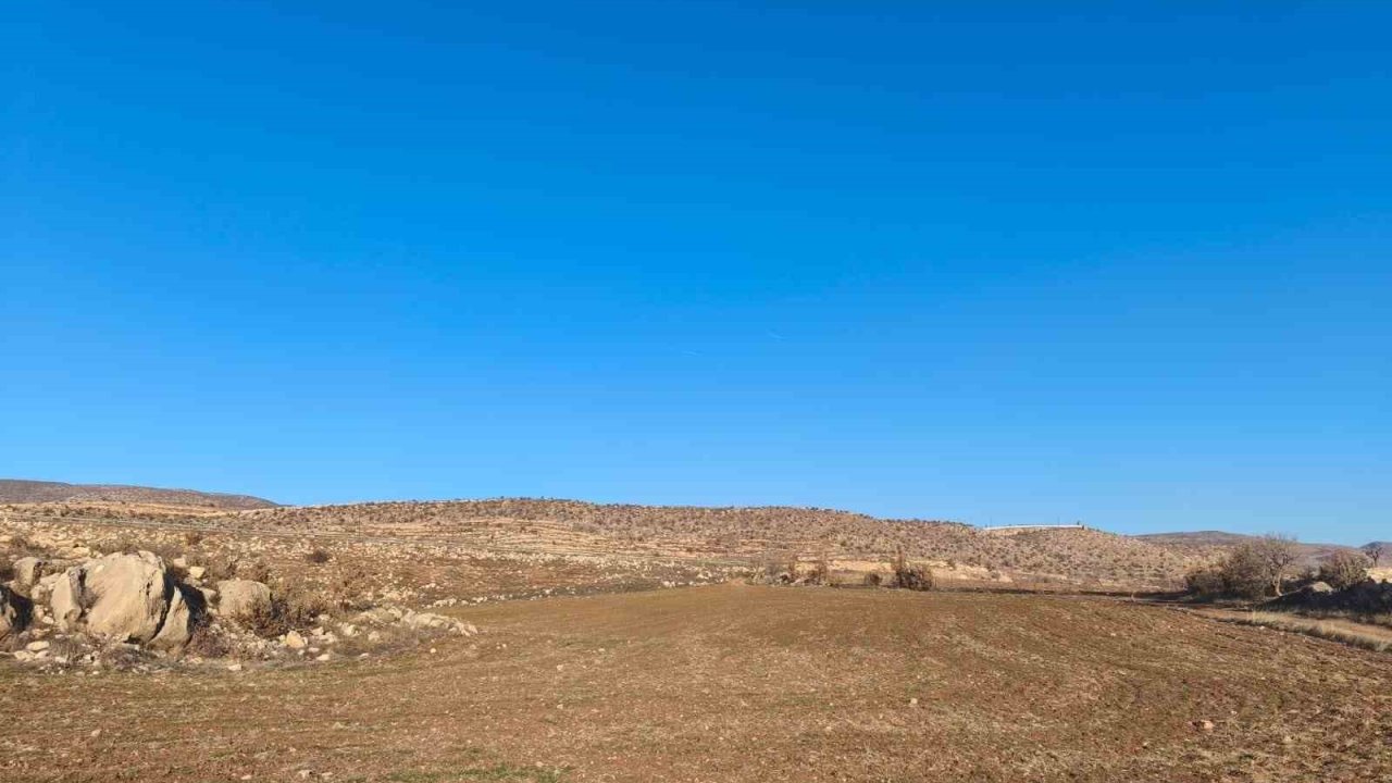 Siirt’te kış ayı kurak geçiyor
